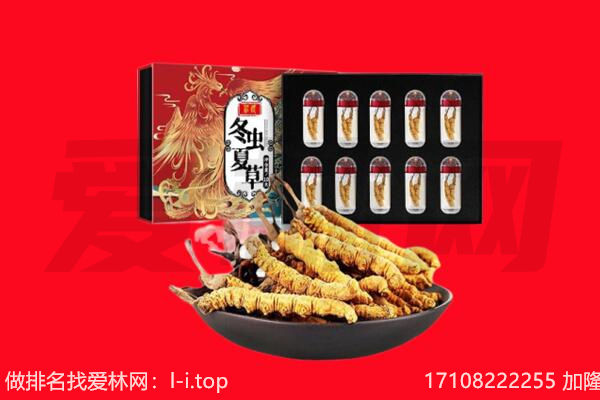 公主岭市回收虫草.jpg